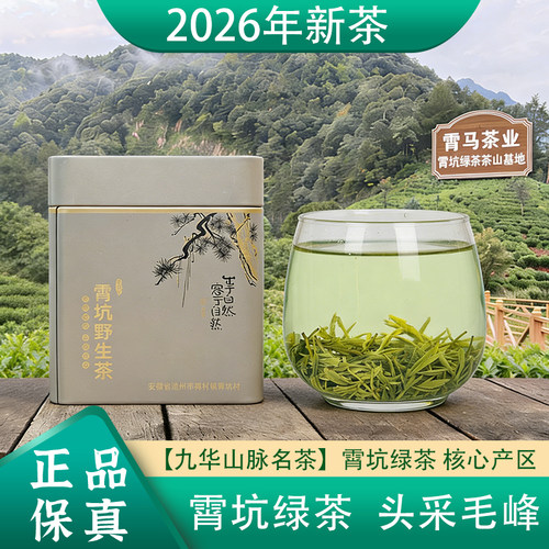 2026新茶霄坑野生绿茶叶头采毛峰