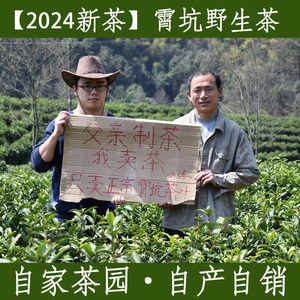 2024新茶霄坑茶叶霄坑野生茶