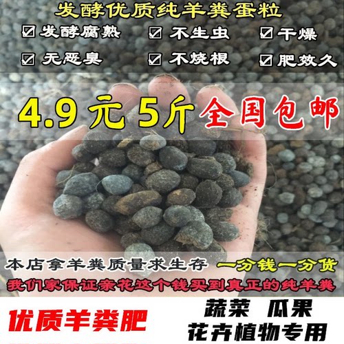 发酵羊粪肥羊粪农家肥
