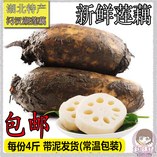 湖北新鲜汉川莲藕 汈汊湖特产蔬菜 煨汤易粉易烂 4斤带泥发货免邮