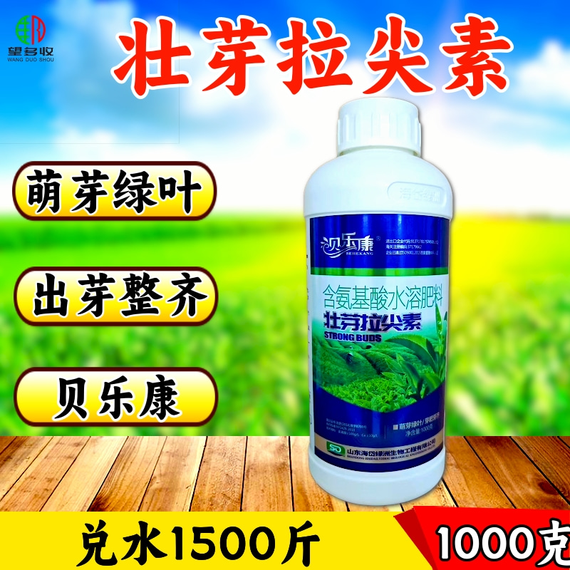 茶葉葉面肥壯芽拉尖素催芽增厚素