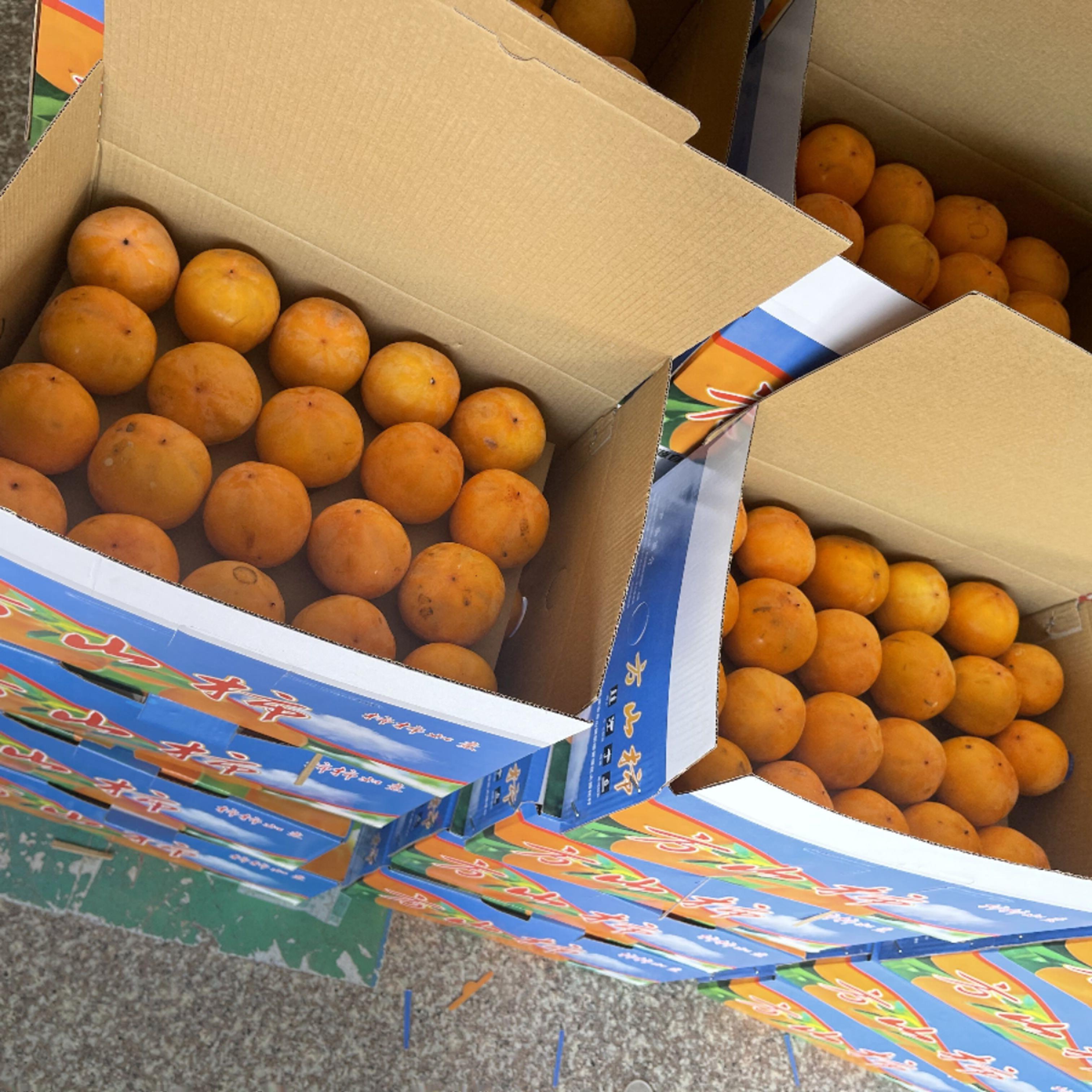 永康方山柿子25年新楼特产高山用吸管吸甜如蜜现摘斤7斤大果包邮