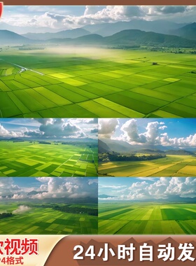 田野沃土千里平原粮食产区蓝天白云黑LED舞台背景视频剪辑素材