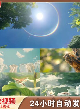 烈日灼心炎晕热炙夏季酷暑高温太阳特LED舞台背景视频剪辑素材