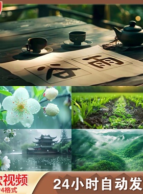 谷雨春芒种绿色农业播种舞台稻田小满节气动态背景4K高清视频素材