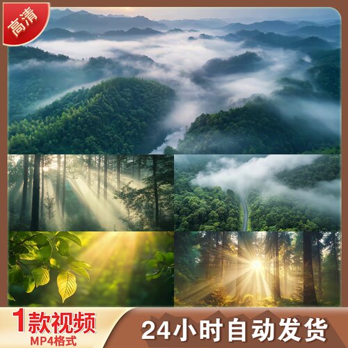 森林航拍树林大自然山脉绿洲环保氧吧LED舞台背景视频剪辑素材
