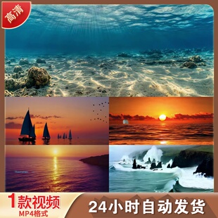 高清大海航拍海浪升格海洋海鸥海底礁石波涛汹涌慢镜头视频素材