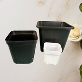 多肉小黑方567810CM加厚万象圆形方形盆栽小型景天花盆塑料育苗盆