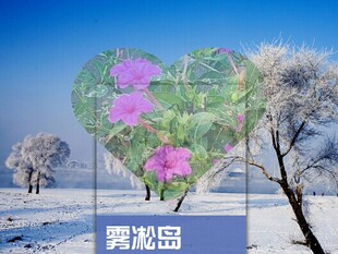 2026吉林雾凇岛旅游攻略图(电子版)自由行交通景点美食旅行指南