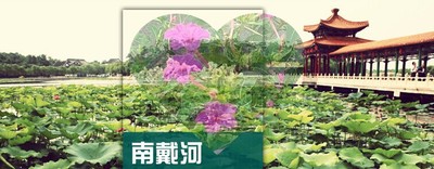 2025河北南戴河旅游攻略图（电子版）自由行交通景点美食旅行指南