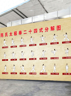 中老年晨练二十四式太极拳挂图