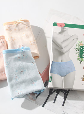 港莎弹力棉女抗菌茶多酚底裆