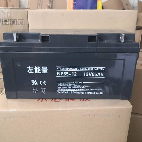 左能量蓄电池NP100-12/12V100AH直流系统UPS电源消防太阳能