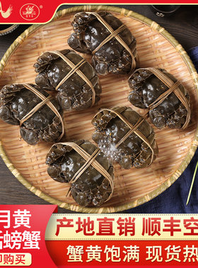 鲜活六月黄蟹6只3.0两