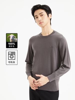 2026冬 利牌Q4QMS0022S男套头圆领毛衣针织衫170码