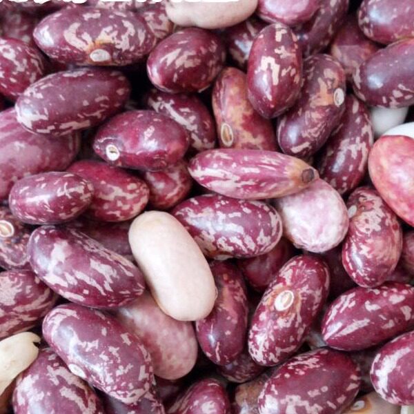贵州特产农家自种四季豆 豆子豆米火锅花豆酸菜豆米花芸豆
