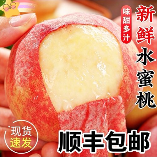 礼泉九嵕山瑷鸢高山水蜜桃