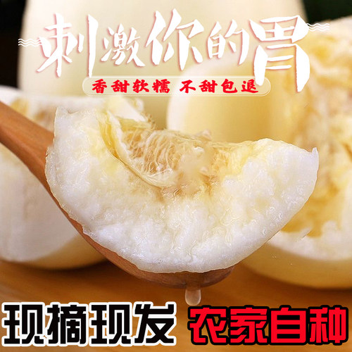 【限购2单】【冰糖心甜瓜】陕西正宗阎良甜瓜小籽甜瓜现摘现发
