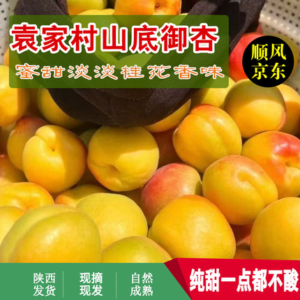 十年老店陕西礼泉袁家村山底唐王御杏梅杏蜜杏孕妇水果顺丰包邮