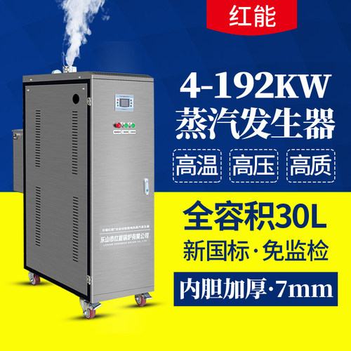 【新国标】乐山红能电加热蒸汽发生器工业商用蒸汽机电蒸汽锅炉
