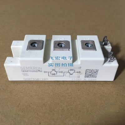 原装 SKM100GB123D SKM75GB128D BSM50GB120DN2 BSM75GB120DN2 询