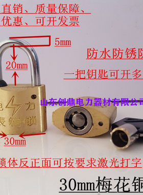 电力表箱锁梅花通开网吧