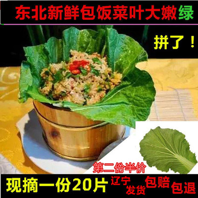 东北特产农家打饭大白菜