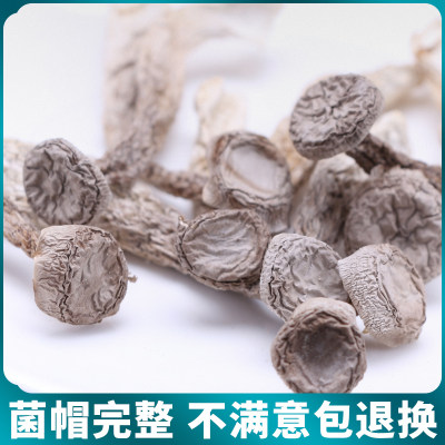 鹿茸菇干货包邮鹿茸菌500g产地直销煲汤食材土特产一手价厂家直销