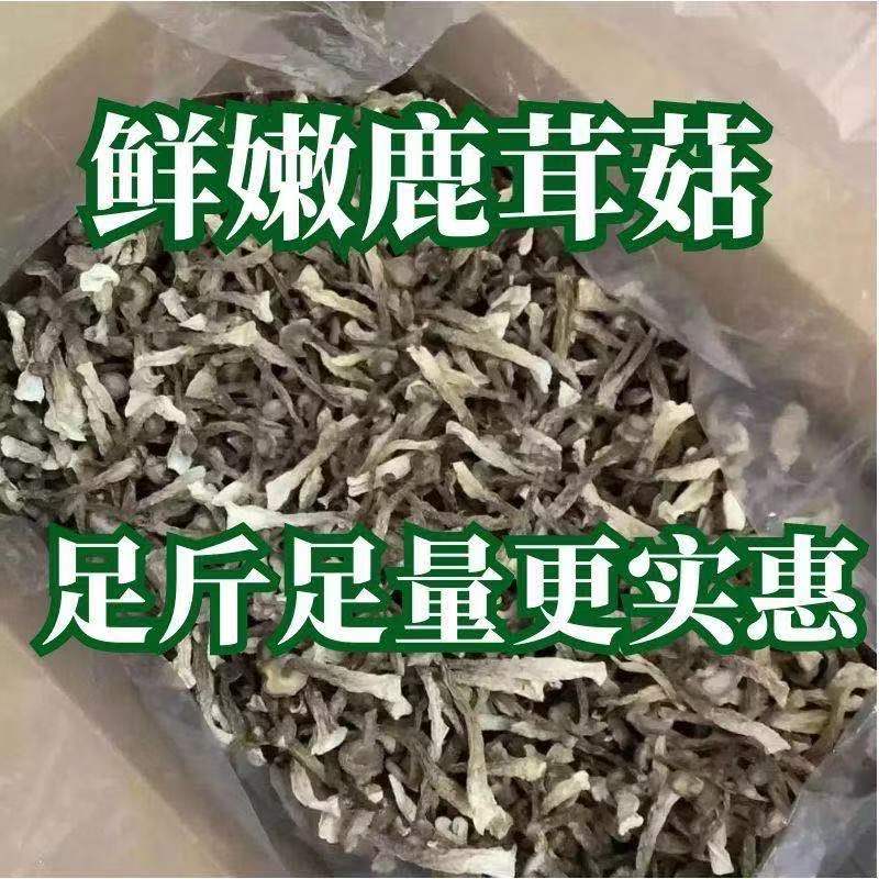 云南鹿茸菇干货旗舰店新鲜特级野生新鲜一级商用干鹿茸菌脆脆菇