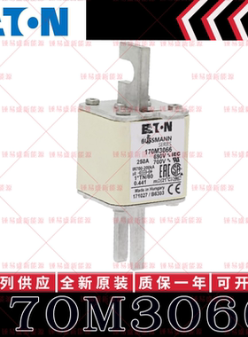 BUSSMANN巴斯曼快速熔断器 170M3066 170M3067 170M3068 170M3069