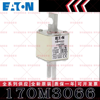 BUSSMANN巴斯曼快速熔断器 170M3066 170M3067 170M3068 170M3069