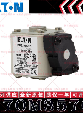 170M系列巴斯曼快速熔断器 170M3570 170M3571 170M3572 170M3573