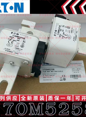 170M系列巴斯曼快速熔断器 170M5258 170M5259 170M5260 170M5261