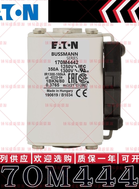 170M系列巴斯曼快速熔断器 170M4442 170M4443 170M4444 170M4445