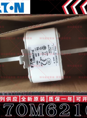 170M系列巴斯曼快速熔断器 170M6216 170M6217 170M6218 170M6219