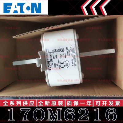 170M系列巴斯曼快速熔断器 170M6216 170M6217 170M6218 170M6219