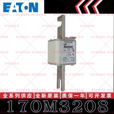 BUSSMANN巴斯曼快速熔断器 170M3208 170M3209 170M3210 170M3211