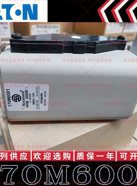 170M6001 450A 2000V 现货 全新巴斯曼BUSSMANN快速熔断器 保险丝