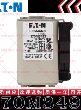 170M系列巴斯曼快速熔断器 170M3492 170M3493 170M3494 170M3495