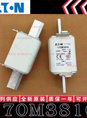 BUSSMANN巴斯曼快速熔断器 170M3816 170M3817 170M3818 170M3819