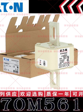 170M系列巴斯曼快速熔断器 170M5615 170M5616 170M5617 170M5618