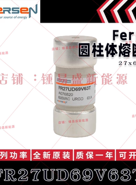 FR27UD69V63T A076820 FR27UD69V80T B076821 FR27UD69V100T 熔断