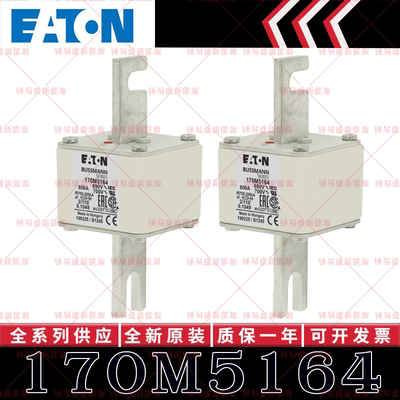 170M系列巴斯曼快速熔断器 170M5162 170M5163 170M5164 170M5165