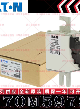 170M系列巴斯曼快速熔断器 170M5970 170M5971 170M5972 170M5973