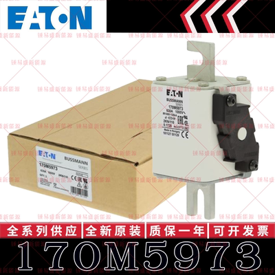 170M系列巴斯曼快速熔断器 170M5966 170M5967 170M5968 170M5969