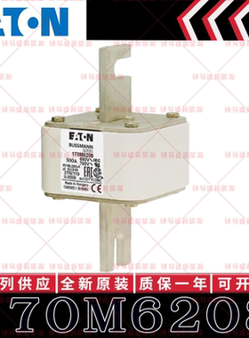 170M系列巴斯曼快速熔断器 170M6208 170M6209 170M6210 170M6211