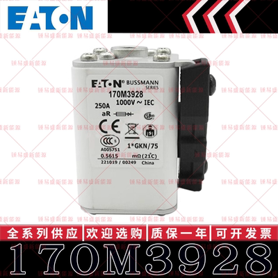 170M系列巴斯曼快速熔断器 170M3928 170M3929 170M3930 170M3931