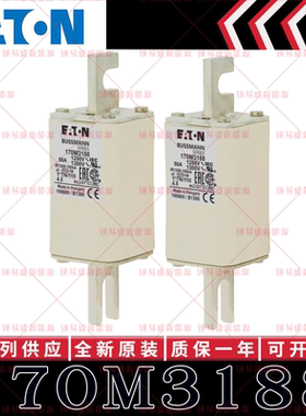 170M系列巴斯曼快速熔断器 170M3188 170M3189 170M3190 170M3191
