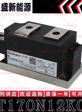 TT170N08KOF TT170N12KOF TT170N14KOF TT170N16KOF 可控硅模块