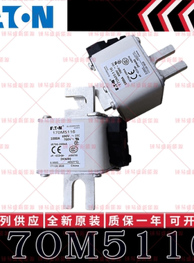 170M系列巴斯曼快速熔断器 170M5115 170M5116 170M5117 170M5118